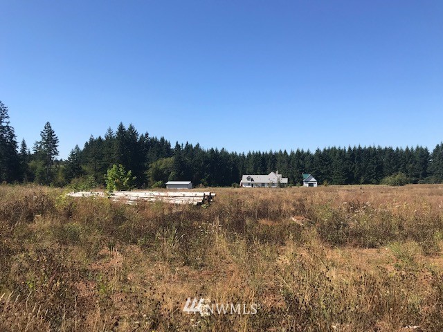 0 Penning Road Chehalis, WA 98532 - Photo 12 of 17