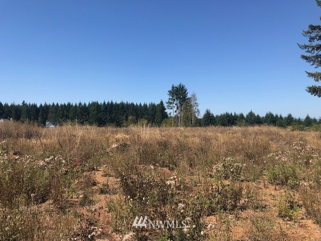 0 Penning Road Chehalis, WA 98532 - Photo 13 of 17