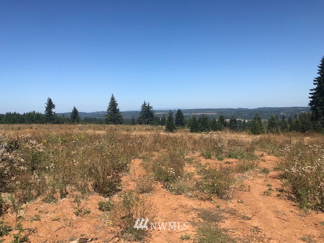 0 Penning Road Chehalis, WA 98532 - Photo 14 of 17