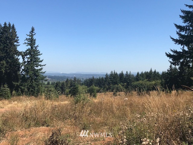 0 Penning Road Chehalis, WA 98532 - Photo 15 of 17
