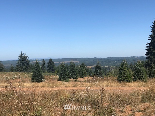 0 Penning Road Chehalis, WA 98532 - Photo 16 of 17