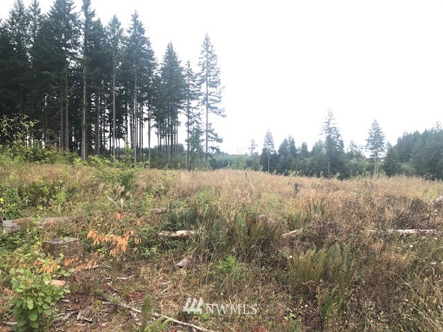 0 Penning Road Chehalis, WA 98532 - Photo 17 of 17