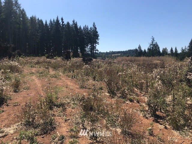 0 Penning Road Chehalis, WA 98532 - Photo 3 of 17