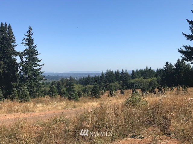0 Penning Road Chehalis, WA 98532 - Photo 4 of 17