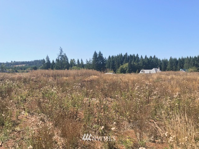 0 Penning Road Chehalis, WA 98532 - Photo 5 of 17