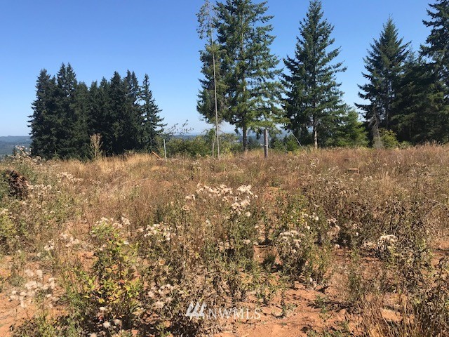 0 Penning Road Chehalis, WA 98532 - Photo 6 of 17