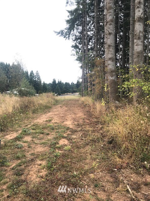 0 Penning Road Chehalis, WA 98532 - Photo 7 of 17