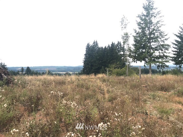 0 Penning Road Chehalis, WA 98532 - Photo 8 of 17