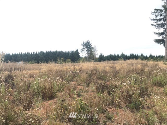 0 Penning Road Chehalis, WA 98532 - Photo 9 of 17
