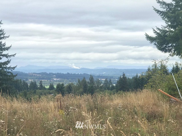 0 Penning Road Chehalis, WA 98532 - Photo 10 of 17