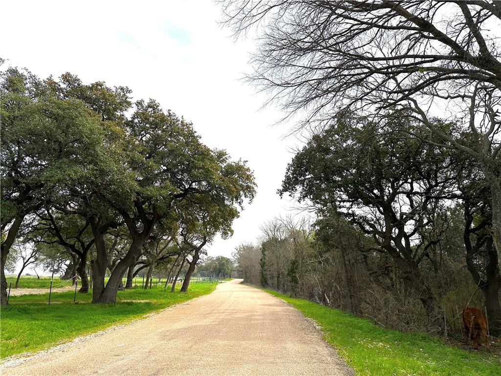 Sunset Ranch Tract 12 Cr 356 Road Gatesville, TX 76528 - Photo 8 of 11