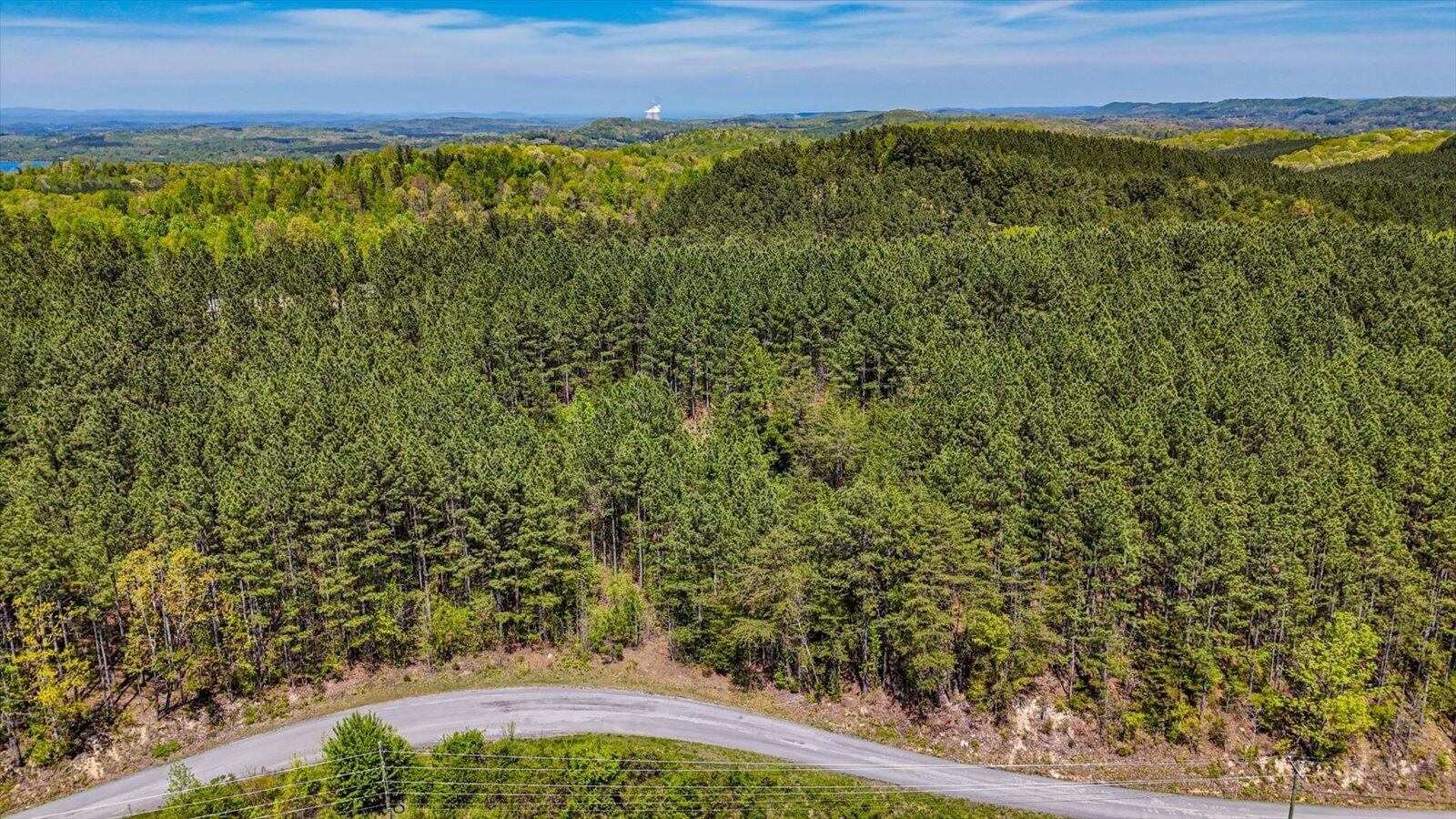 15.12-acre Rynes Road Decatur, TN 37322 - Photo 11 of 35 11-Cottonport Ridge Rd lot 1-9