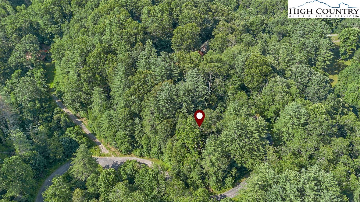 Lot 73 Buckland Road Grassy Creek, NC 28631 - Photo 5 of 11