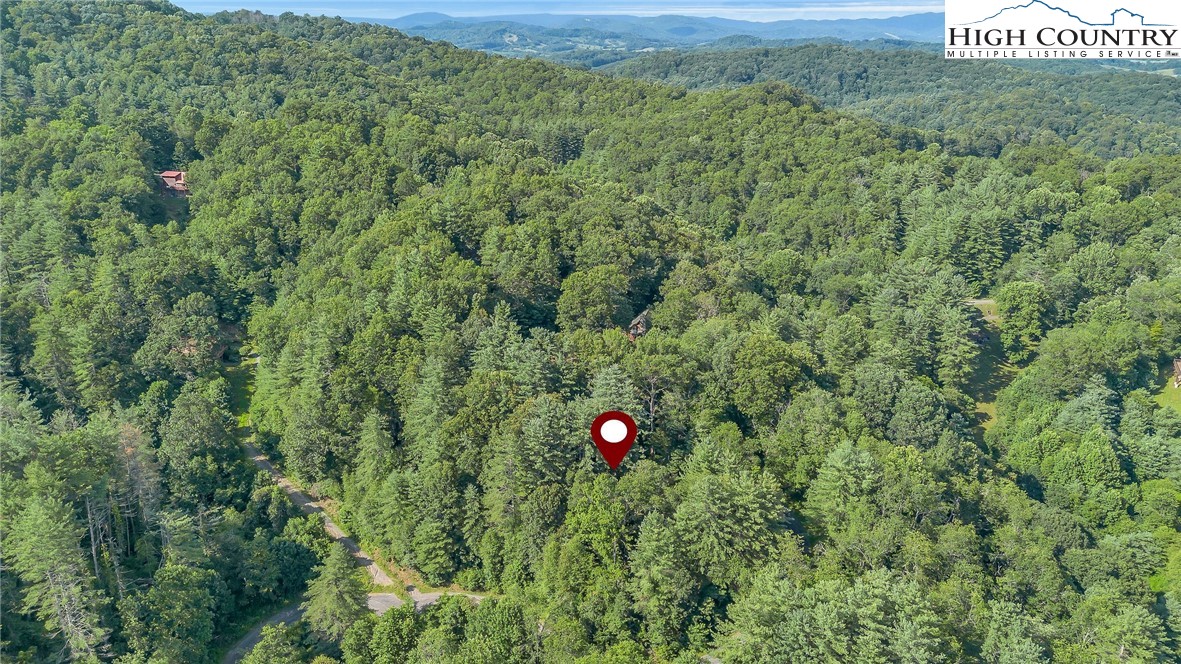 Lot 73 Buckland Road Grassy Creek, NC 28631 - Photo 6 of 11 a view of outdoor space and garden