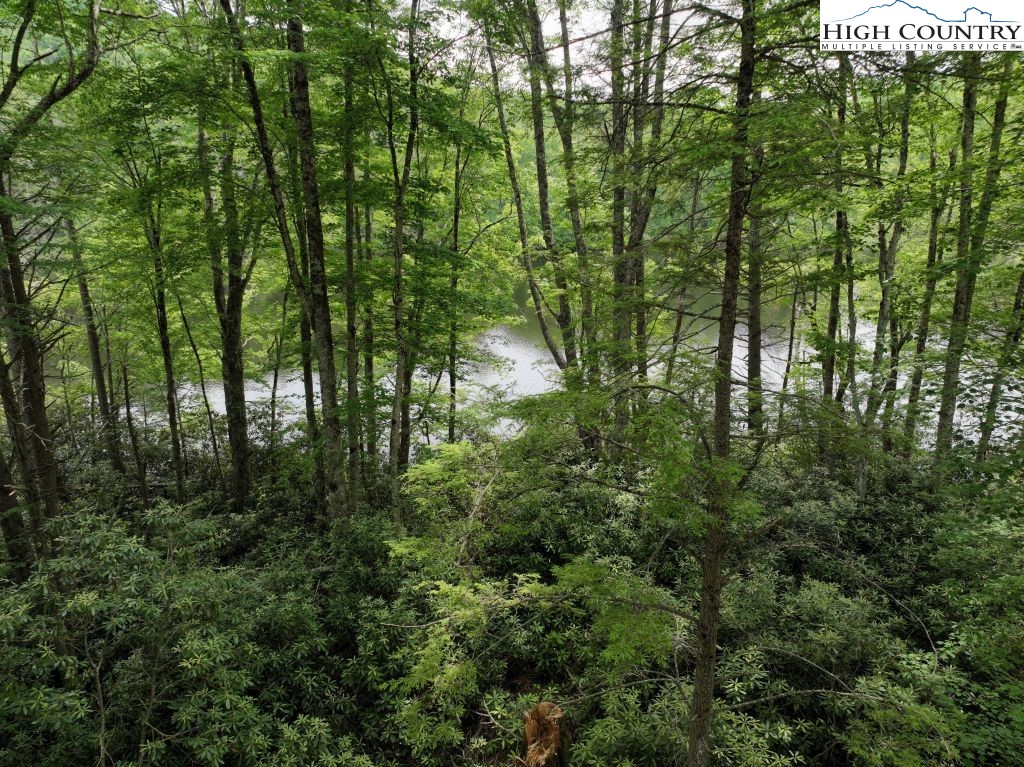 1762 Ripshin Mountain Road Roan Mountain, TN 37687 - Photo 14 of 24