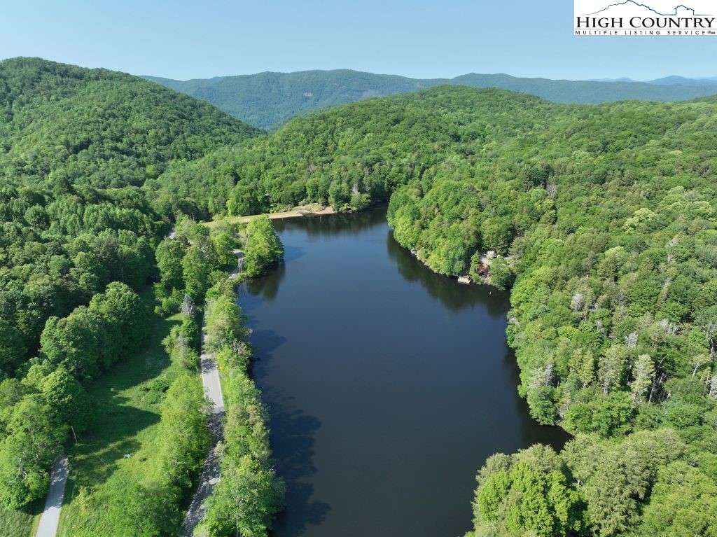 1762 Ripshin Mountain Road Roan Mountain, TN 37687 - Photo 18 of 24 an aerial view of a house with a yard