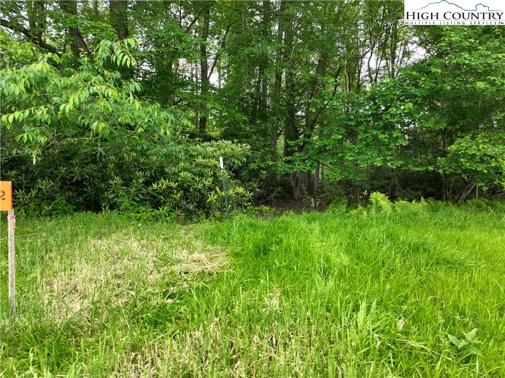 1762 Ripshin Mountain Road Roan Mountain, TN 37687 - Photo 7 of 24 a view of a garden from a backyard