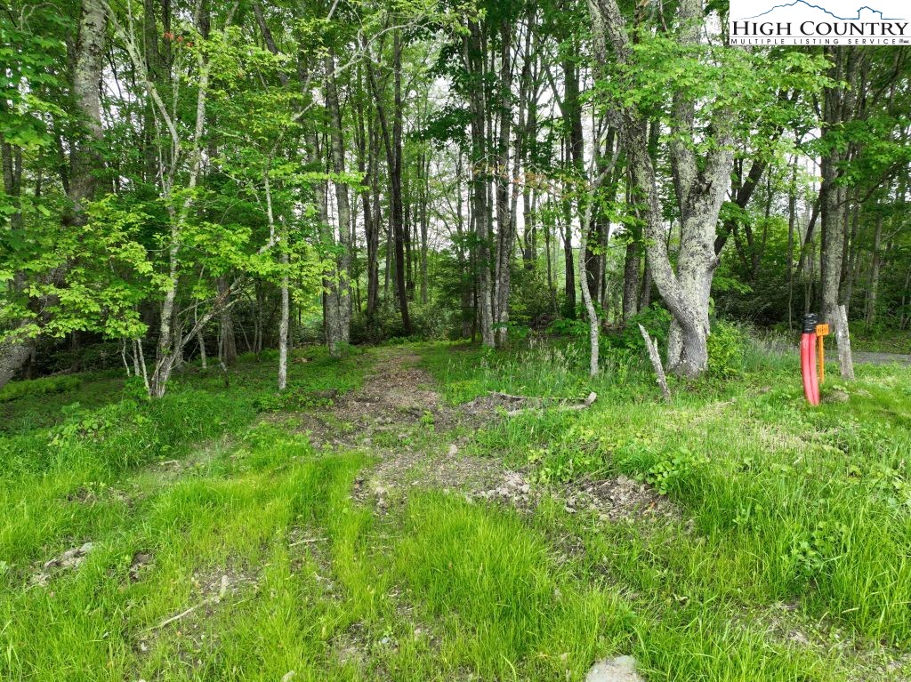 1762 Ripshin Mountain Road Roan Mountain, TN 37687 - Photo 9 of 24 a view of outdoor space with deck and yard