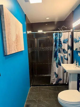 a bathroom with a toilet and a shower