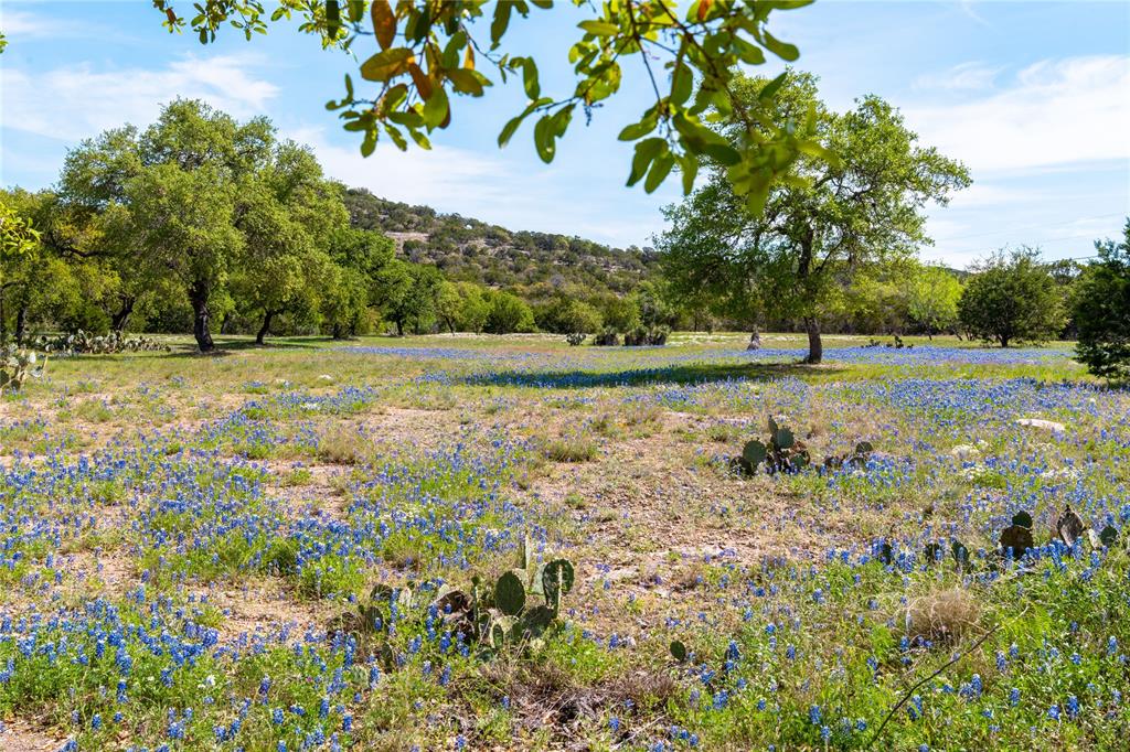 5300 Lookout Ridge Drive Marble Falls, TX 78654 - Photo 37 of 40 a view of a yard with plants and trees