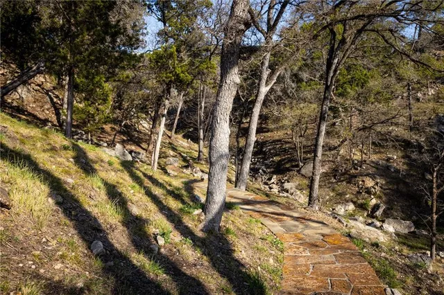 a backyard of a house with lots of green space and plants