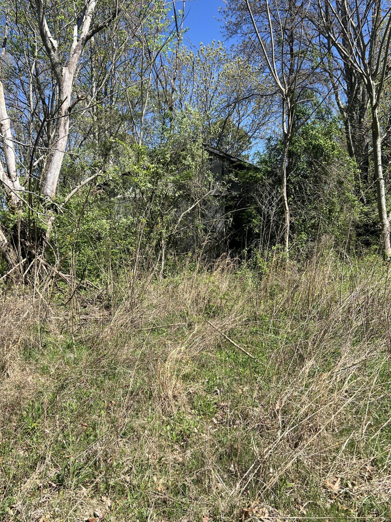 1301-tbd Minor Road West Liberty, KY 41472 - Photo 8 of 15 Photo Apr 18, 12 01 49 PM