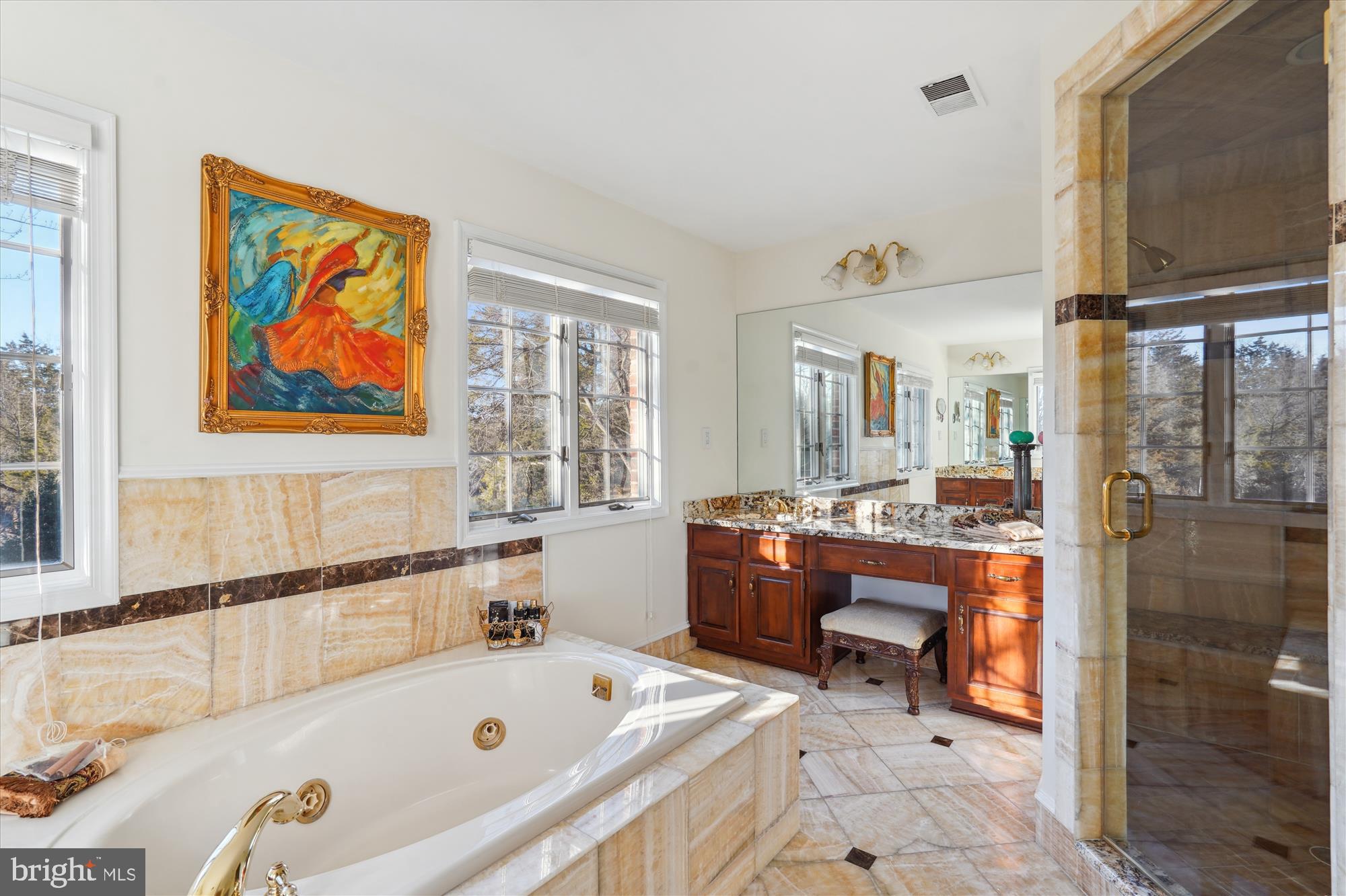 1071 Spring Hill Road McLean, VA 22102 - Photo 25 of 65 a large tub sitting in a bathroom next to a window