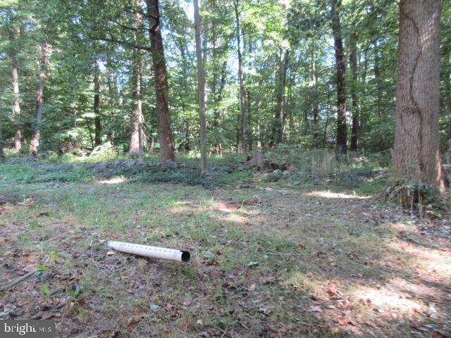 3110 Chestnut Hill Road Pottstown, PA 19465 - Photo 11 of 12 Gallery Image 11