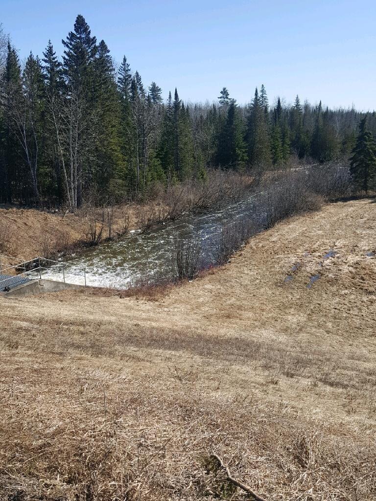 0 Carvell Road Mapleton, ME 04757 - Photo 7 of 8 carvell road 7