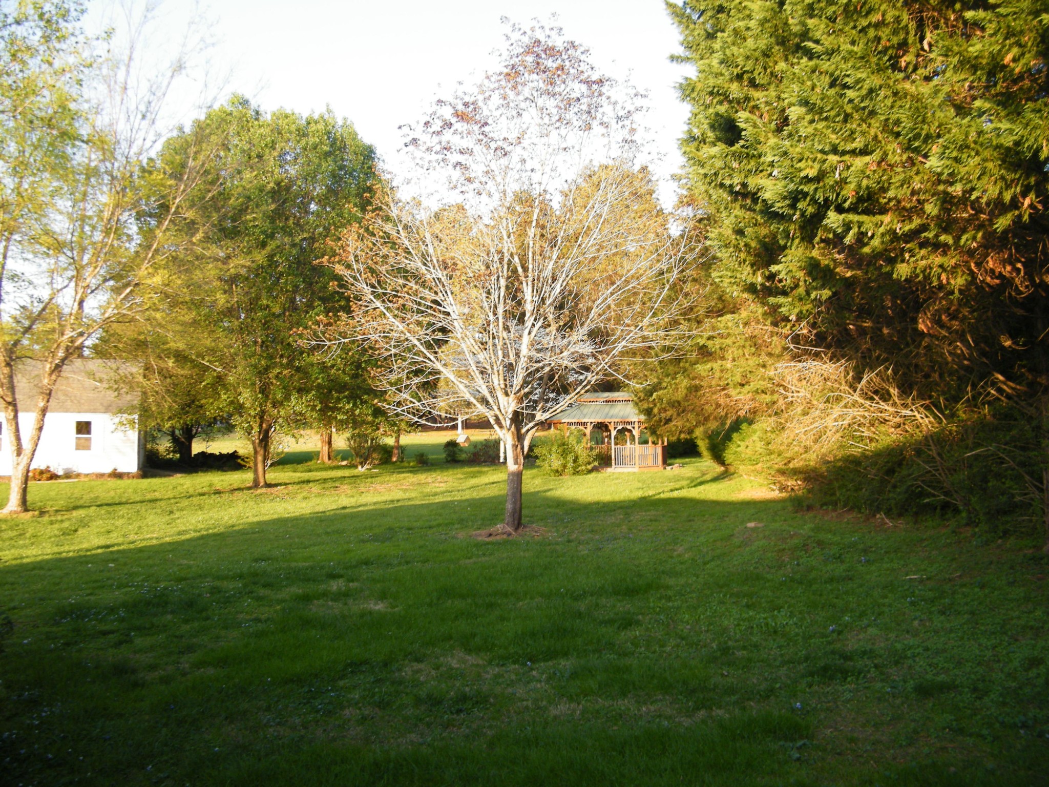 7209 Evanel Way, Unit 3 Powell, TN 37849 - Photo 3 of 24 Gallery Image 3