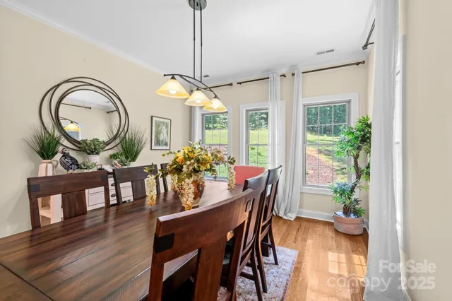 a dining room with furniture a potted plant and a chandelier