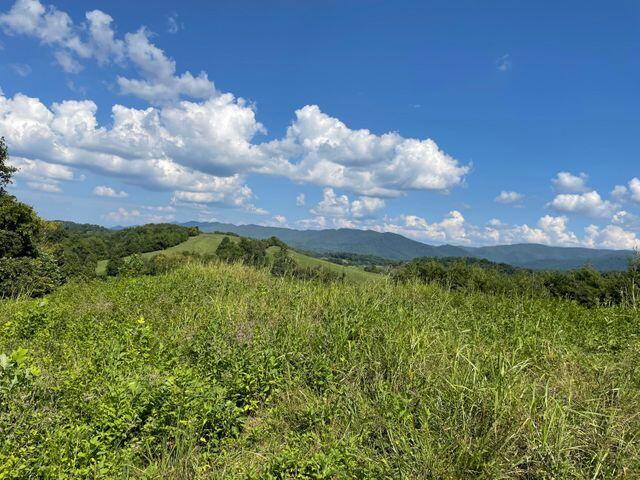 Tba Bacon Branch Road Jonesborough, TN 37659 - Photo 1 of 4 Debbi2 4