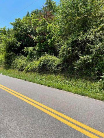 Tba Bacon Branch Road Jonesborough, TN 37659 - Photo 2 of 4 debbie 3