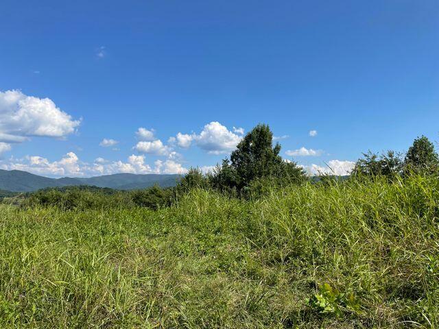 Tba Bacon Branch Road Jonesborough, TN 37659 - Photo 4 of 4 debbie 1