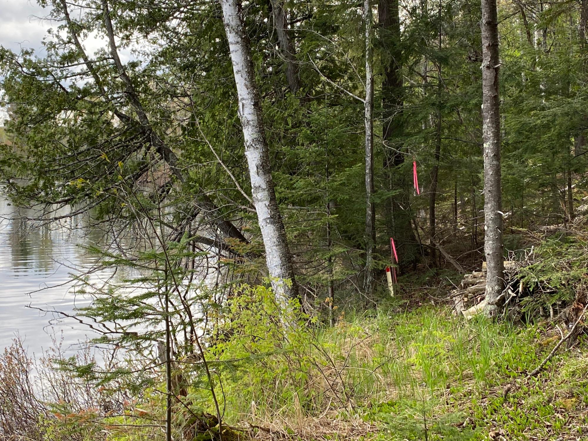 Lot #1 Channel Road Watersmeet, MI 49969 - Photo 4 of 21 Gallery Image 4