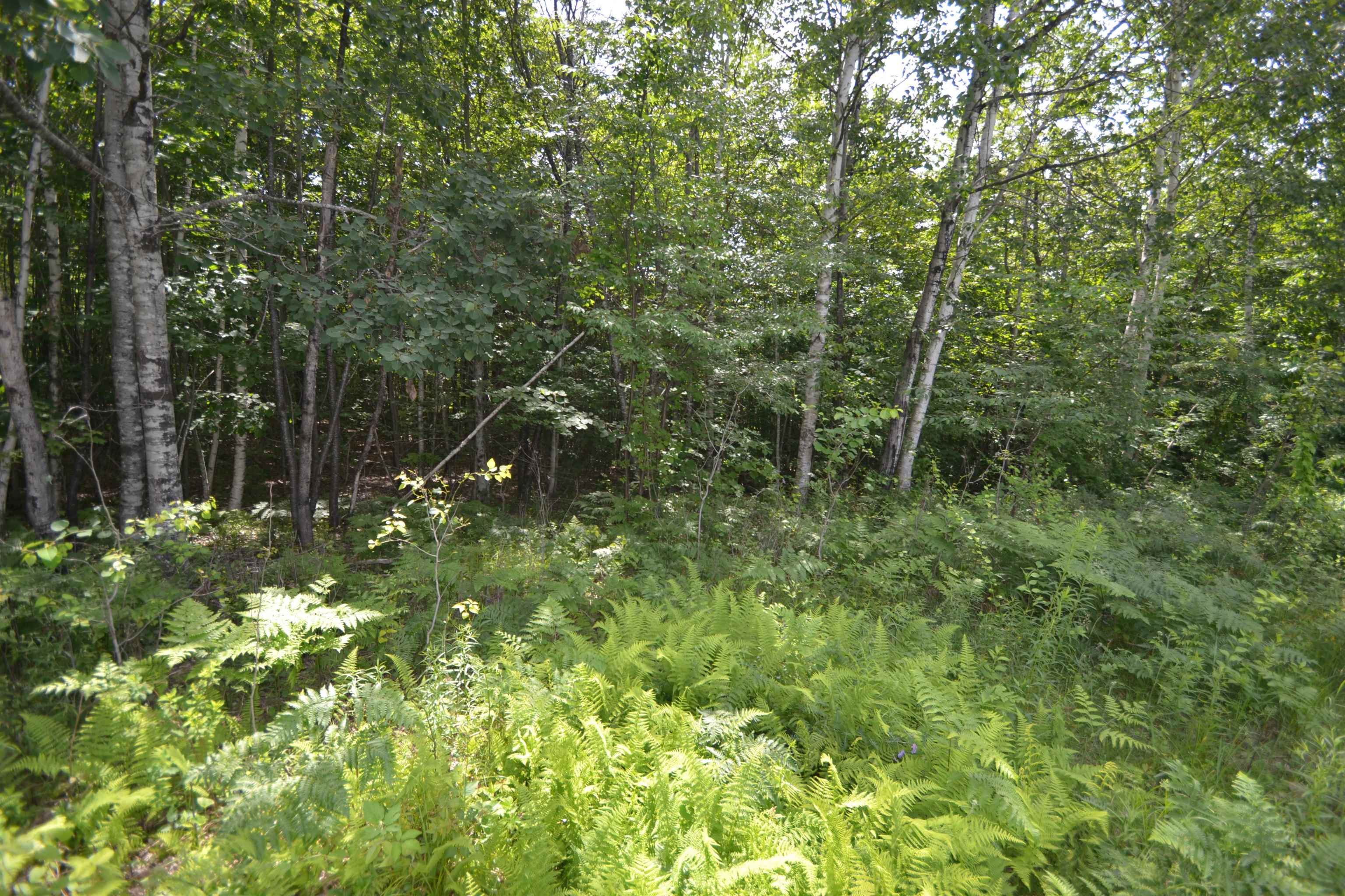 96 Lane Road Holderness, NH 03245 - Photo 15 of 16