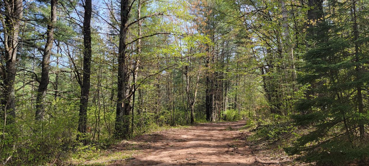 Off Witches Lake Road, Unit LOT 4 Woodruff, WI 54568 - Photo 38 of 39 Gallery Image 38