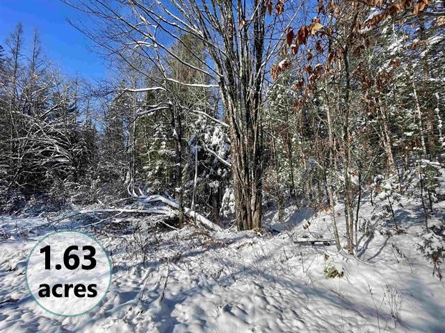 0 Marshall Newland Road East Burke, VT 05832 - Photo 23 of 29