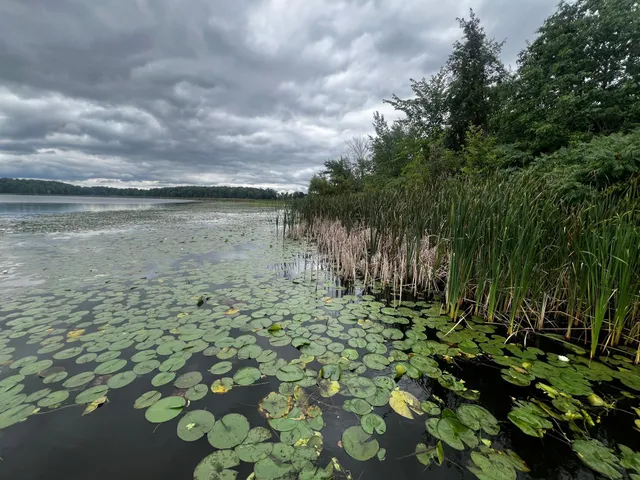 $170,000 | Lot 3 416th Avenue Northeast, Braham, MN 55006