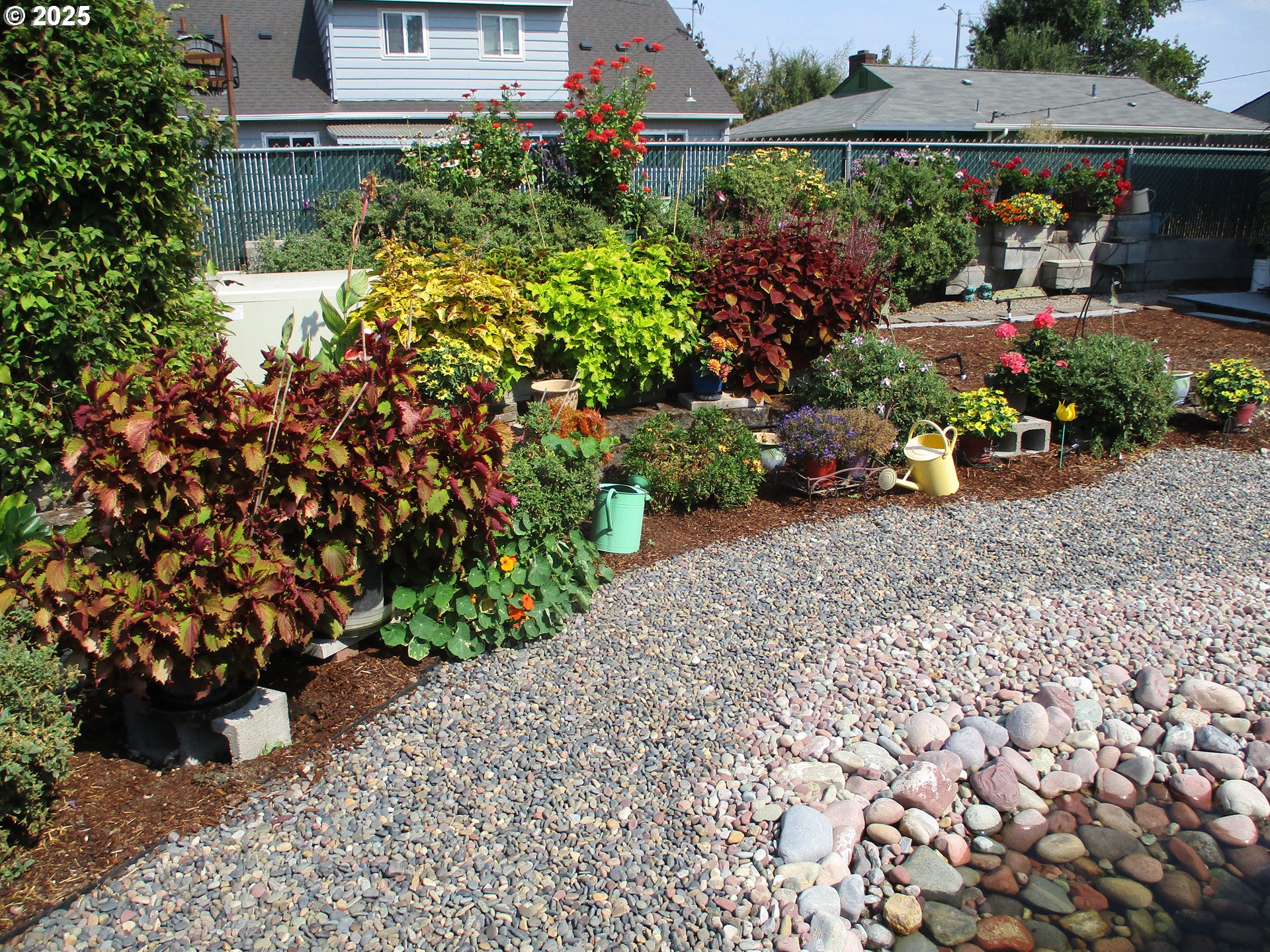 1428 Olympic Street Springfield, OR 97477 - Photo 38 of 46 Backyard