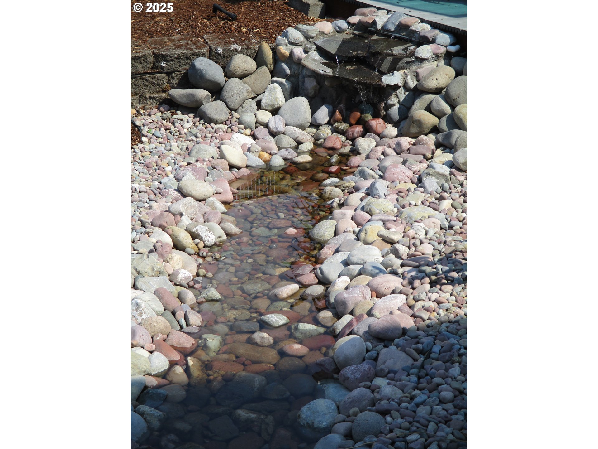 1428 Olympic Street Springfield, OR 97477 - Photo 41 of 46 Water Feature