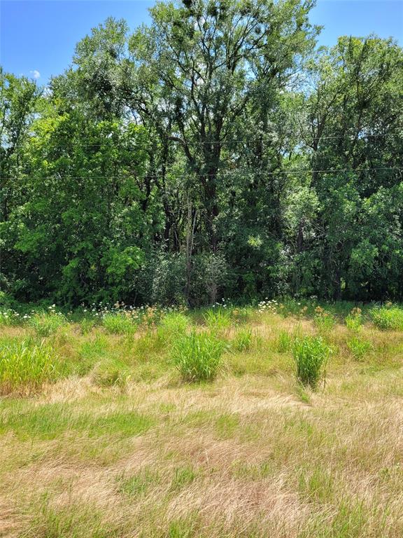 1175 Southwest Loop 286 Paris, TX 75460 - Photo 4 of 6 a view of a yard with a tree