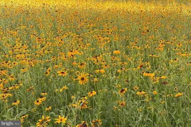 $1,050,000 | 1554 Meadow Lane, Glen Mills, PA 19342