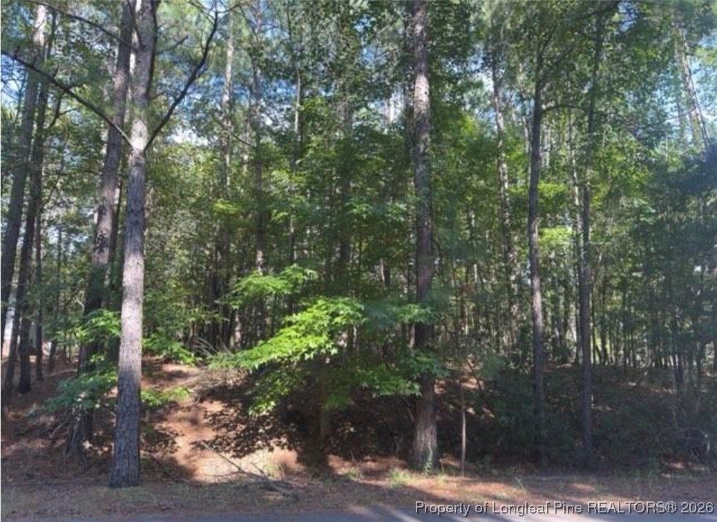 87 Canterbury Road Sanford, NC 27332 - Photo 2 of 3 a view of a street view