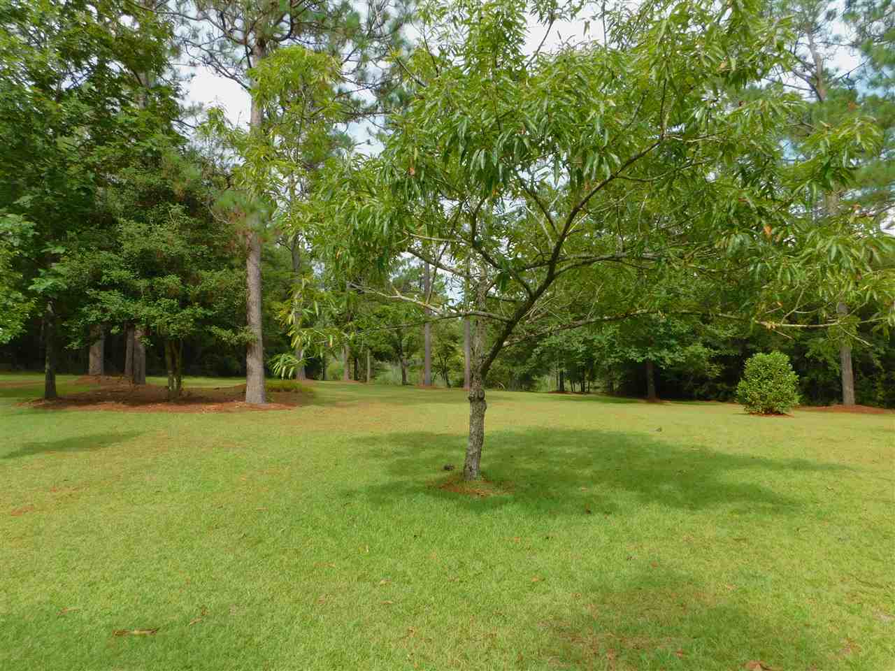 14912 Maddox Road Andalusia, AL 36420 - Photo 25 of 29 Gallery Image 25