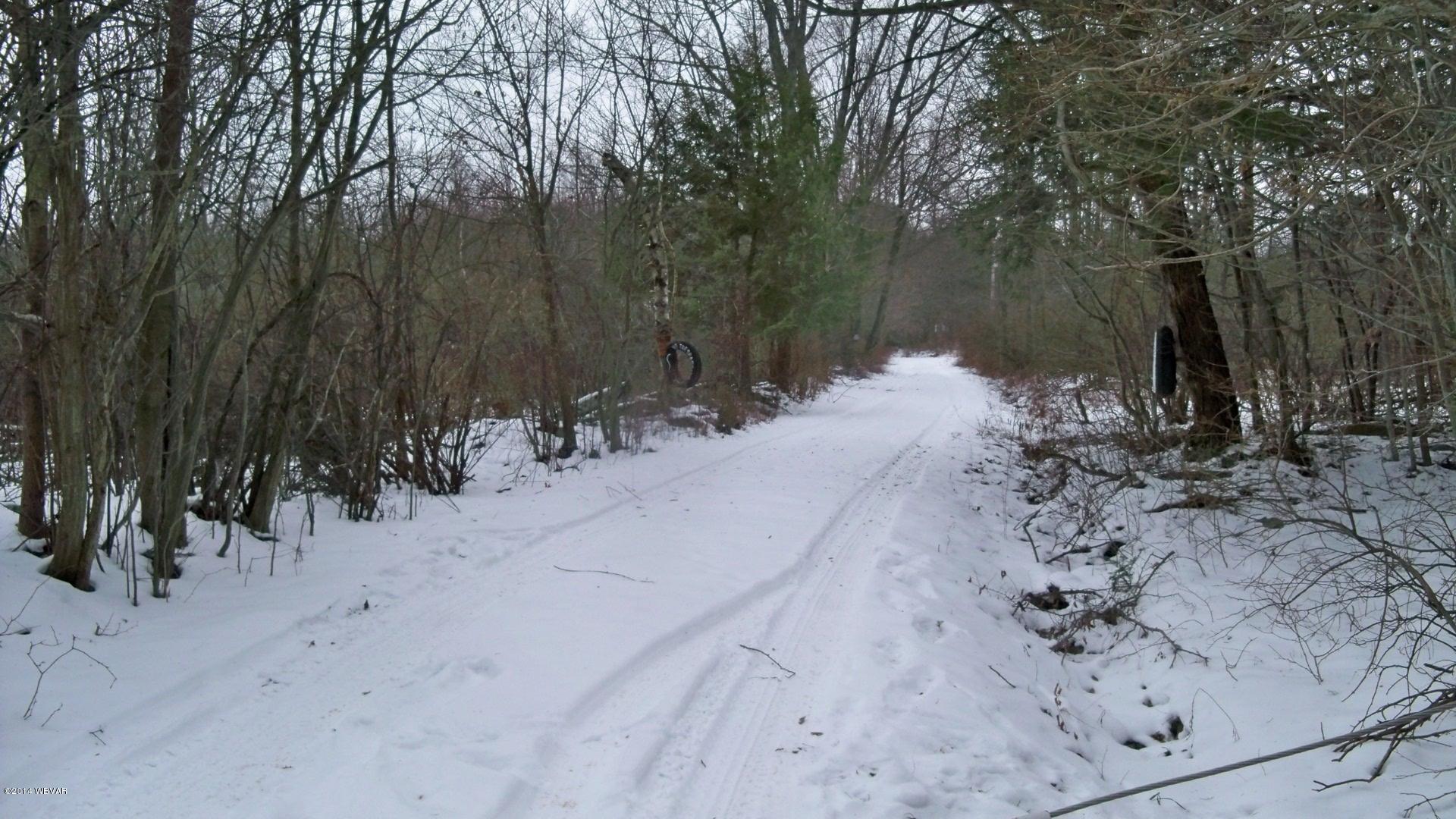 616 Rouse Pond Road Lopez, PA 18628 - Photo 2 of 49 100_7296