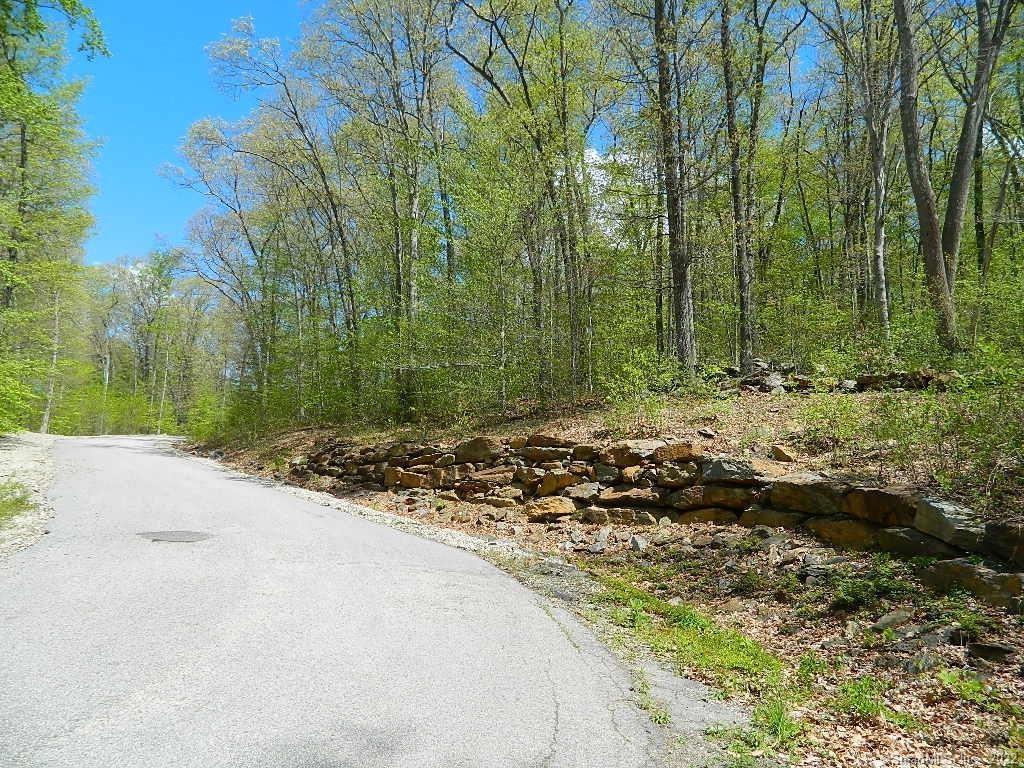 28 Saner Road Marlborough, CT 06447 - Photo 1 of 1 Common road from Saner Rd up to the lots.