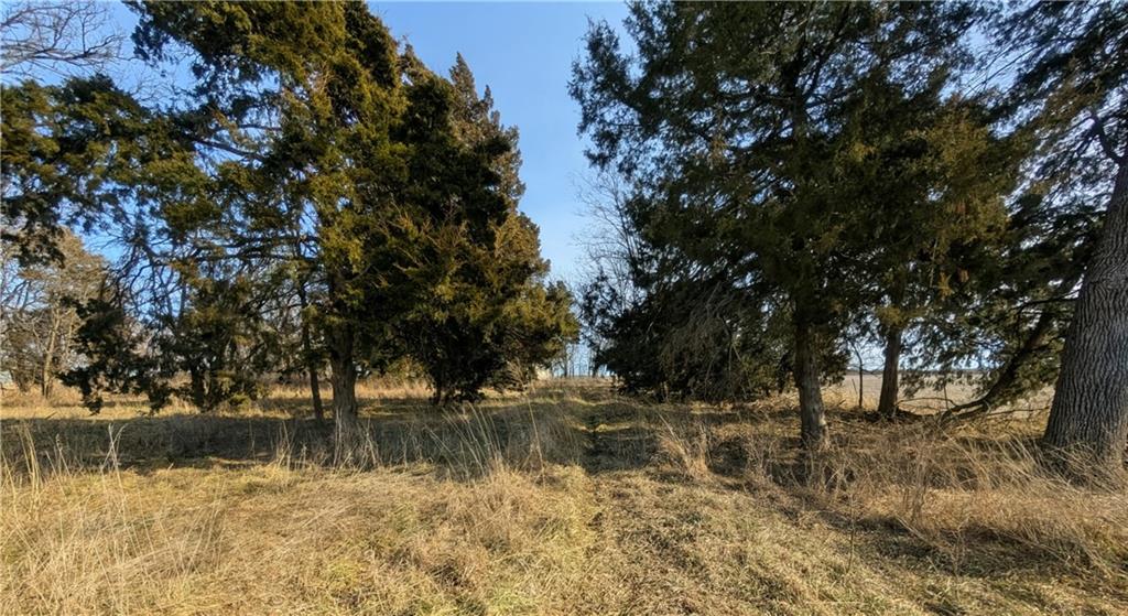 12326 Southwest Delaware Road Colony, KS 66015 - Photo 6 of 20