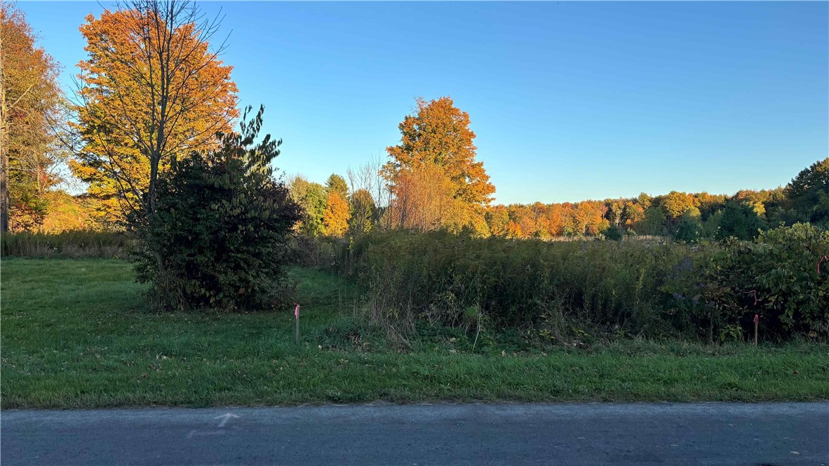 287 White Road Parish, NY 13131 - Photo 15 of 27