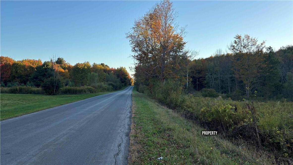 287 White Road Parish, NY 13131 - Photo 16 of 27